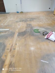 9e135540 5bdf 4a4e aba2 874d3e2e1dd4