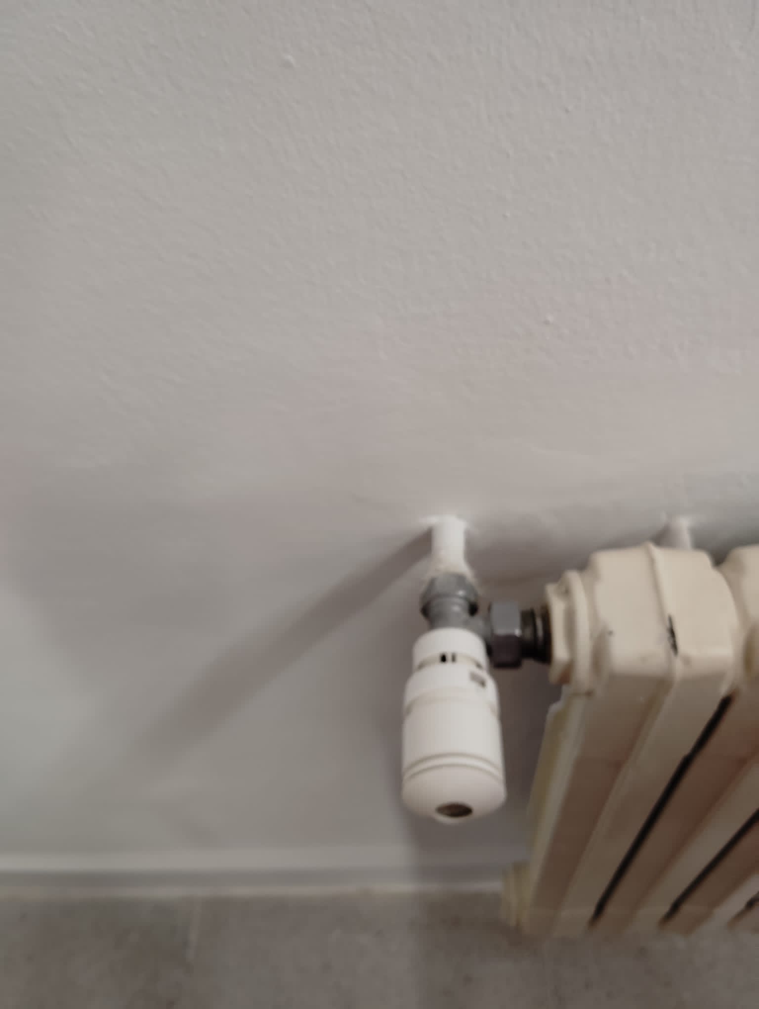 photo 2024 02 01 16 55 47 (5)